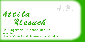 attila mlesuch business card